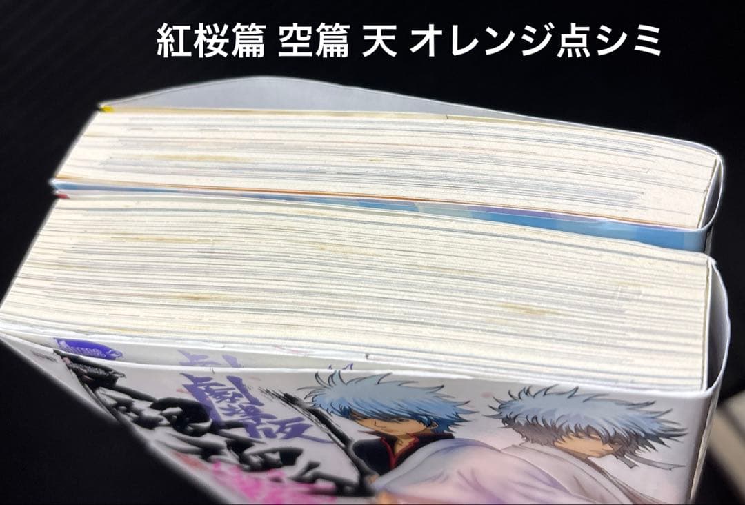 銀魂 3年Z組 銀八先生 広侍苑 キャラクターズブック 全30冊 DVD