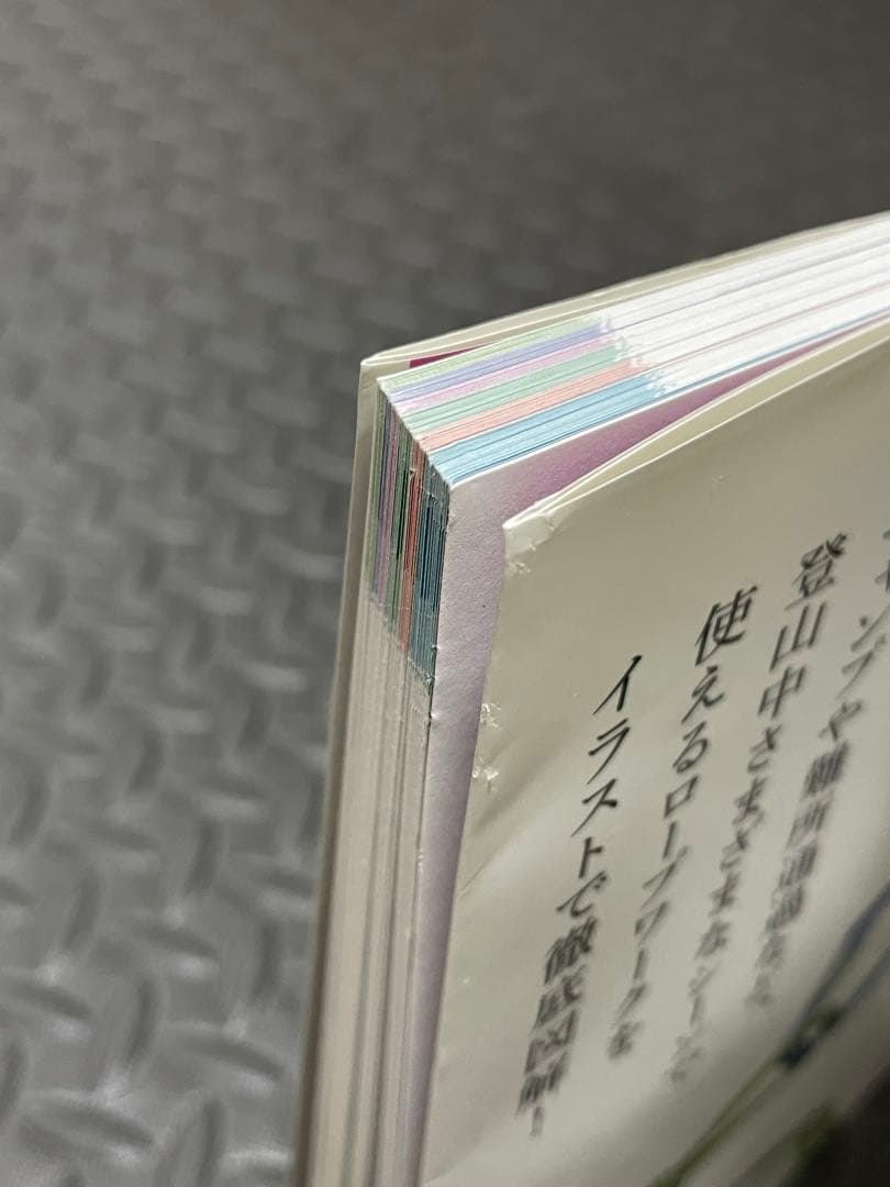 ロープワーク 山と溪谷社