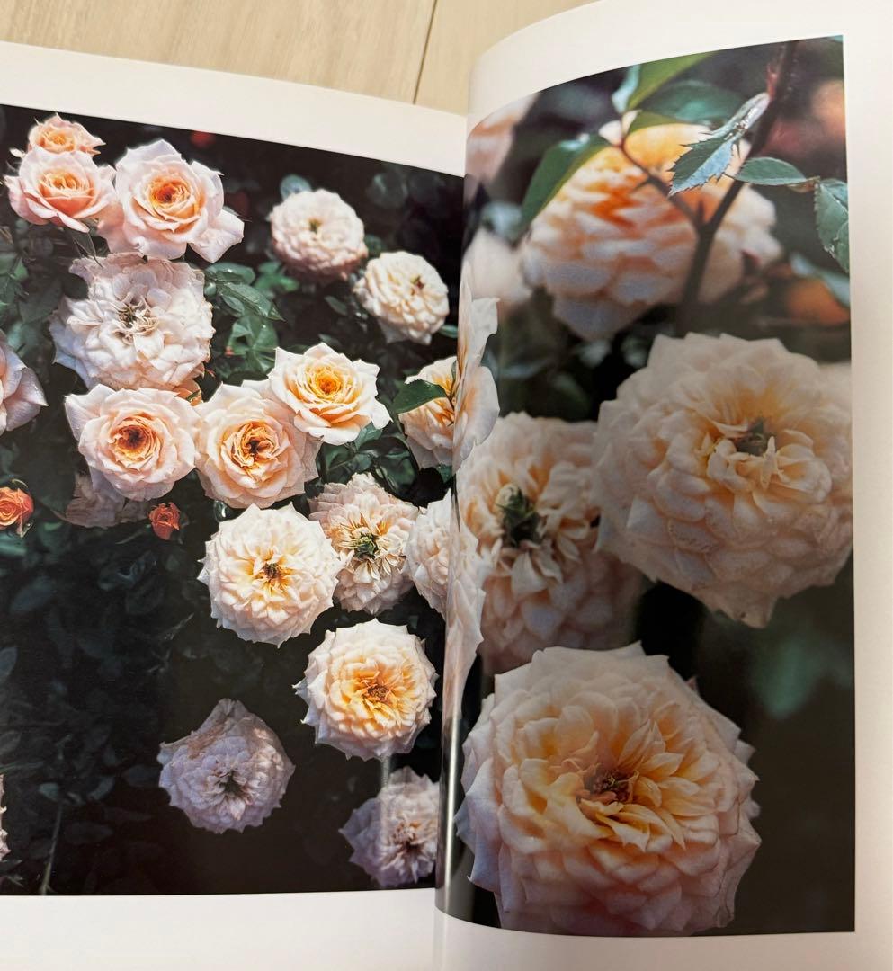 初版！石内都サイン署名】薔薇のパルファムLe Parfum de la Rose