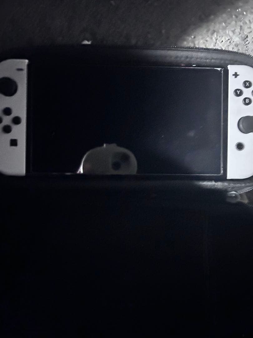 Nintendo Switch ホワイト/ブラック 本体 マイクラのカセット付き
