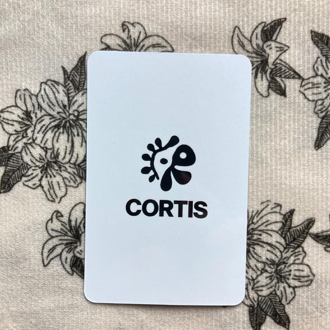 CORTIS Weverse JAPAN限定 当選 ラキドロゴンホトレカ