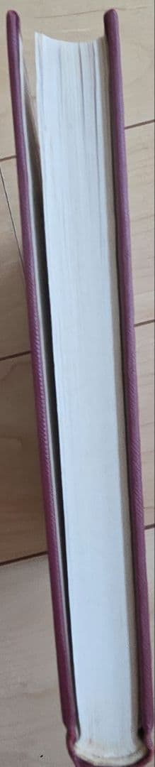 イトオテルミー原著 中巻 伊藤金逸著