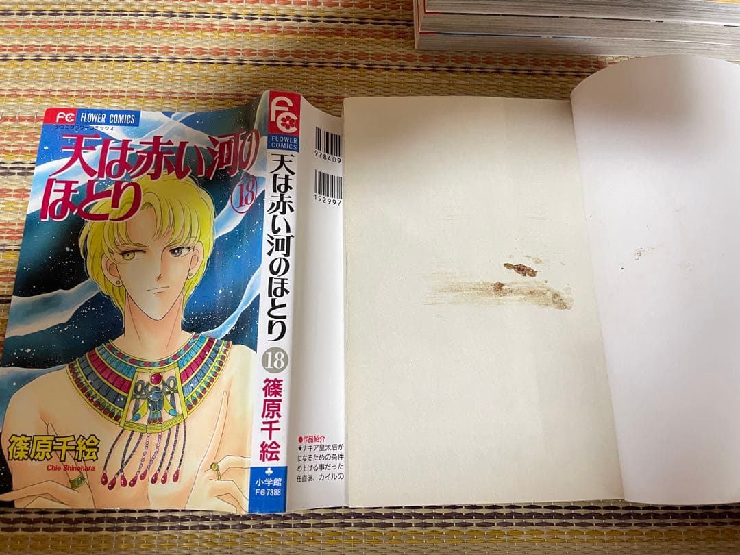 全巻セット 天は赤い河のほとり 篠原千絵 ②