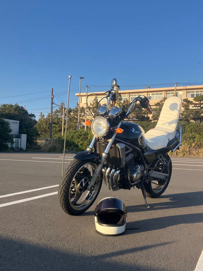 パリオス1 ZR250A KingRoad88 ホワイトシート 45cm