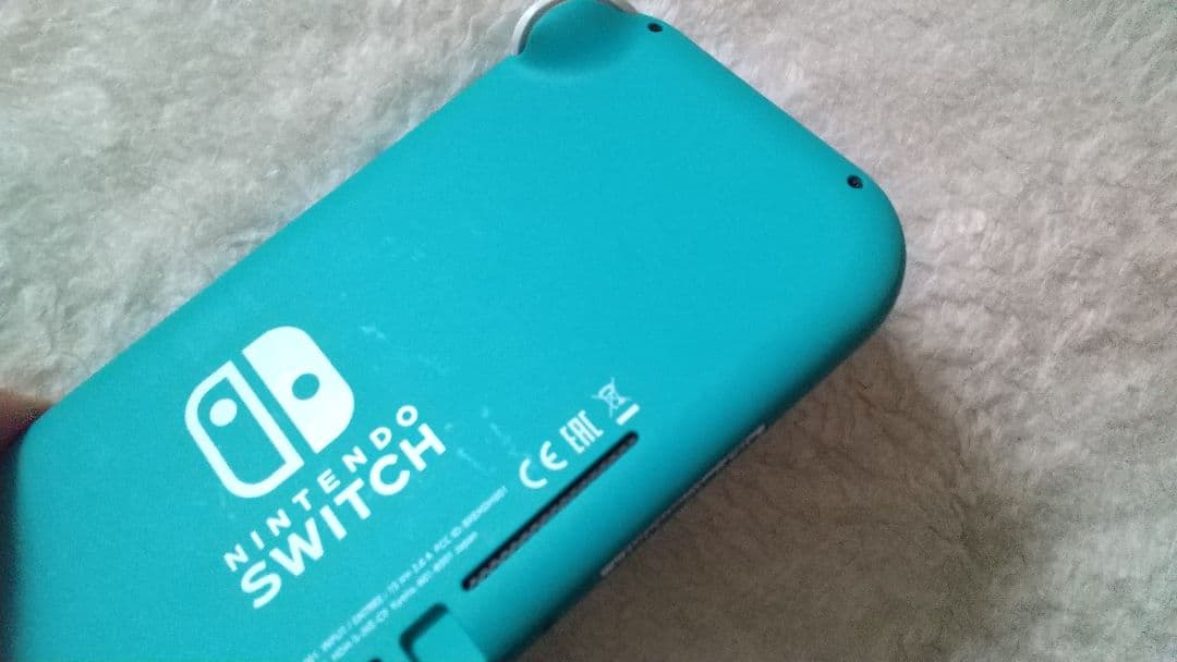 ジャンク Nintendo Switch Lite ターコイズ