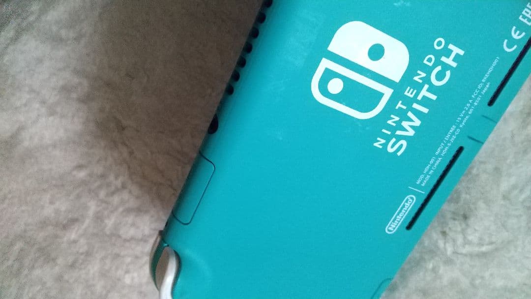 ジャンク Nintendo Switch Lite ターコイズ