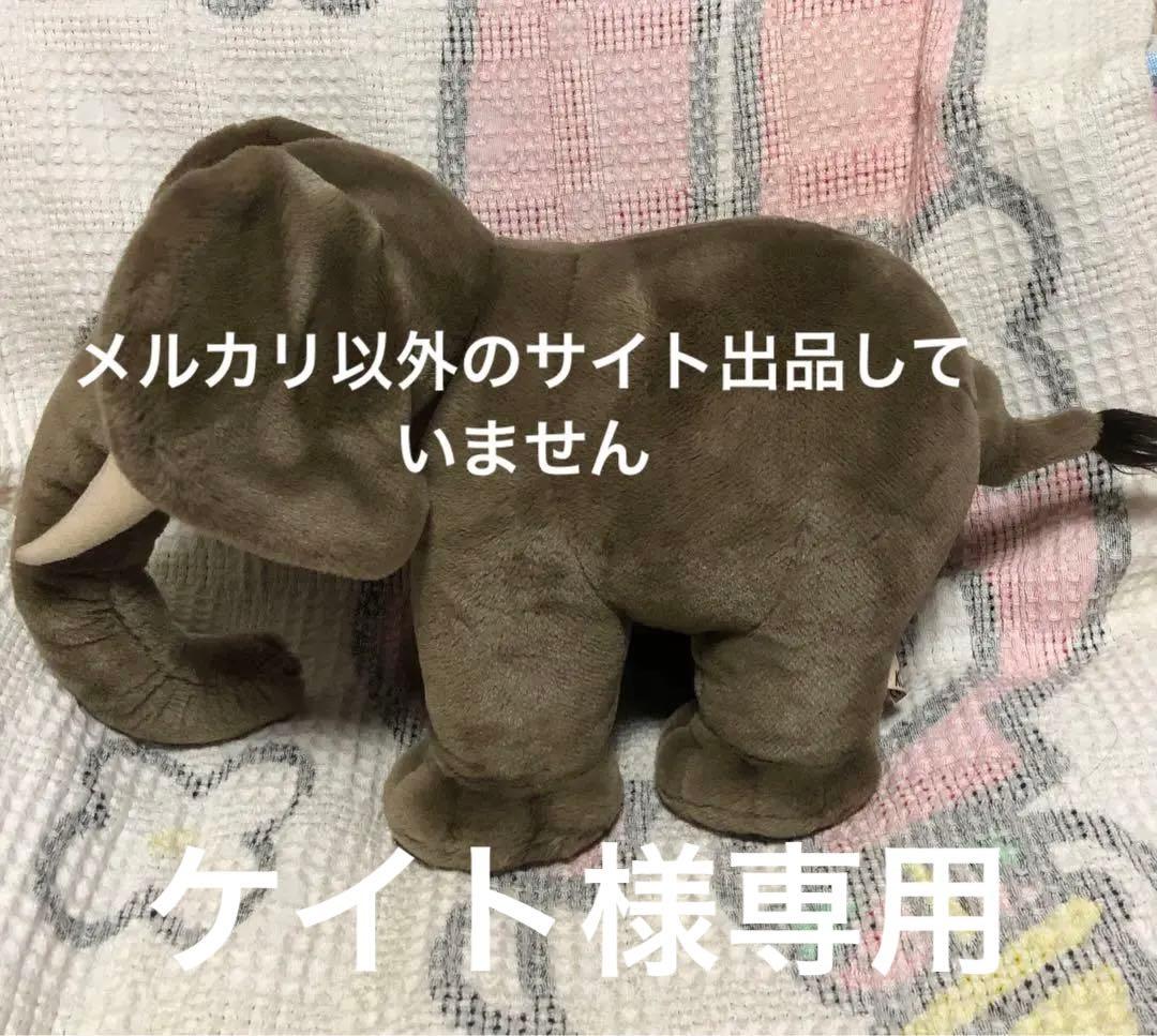 ケイト　KOSEN ケーセン　象　ぬいぐるみ　中古品