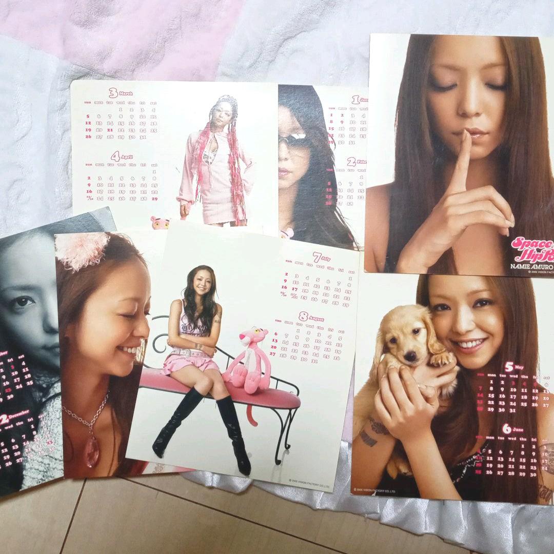 安室奈美恵　space of Hippopパンフレット カレンダー袋セット