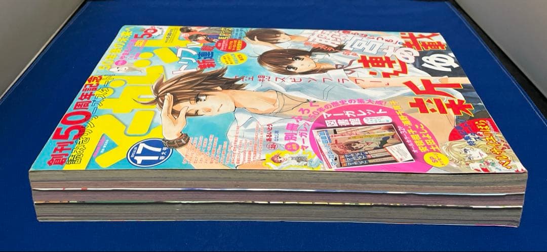 マーガレット2013年17号