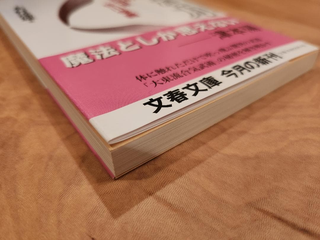 透明な力　木村達雄