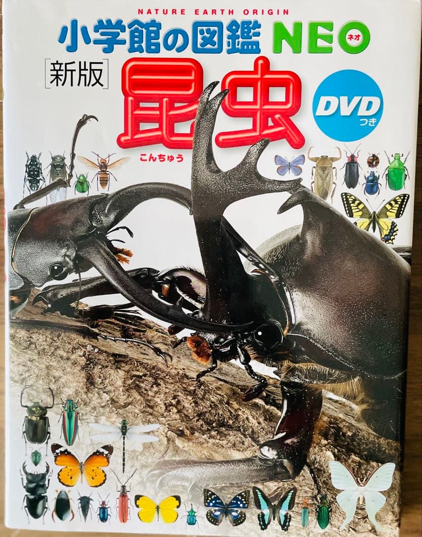 小学館の図鑑NEO　10冊セット