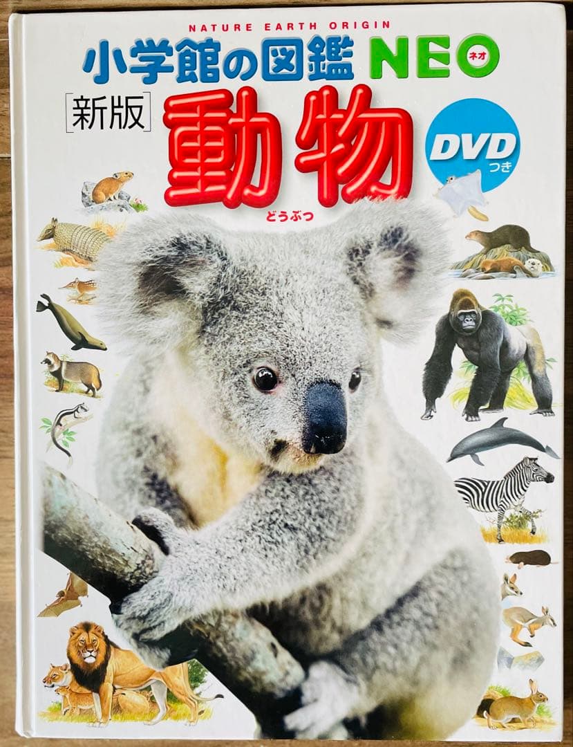 小学館の図鑑NEO　10冊セット