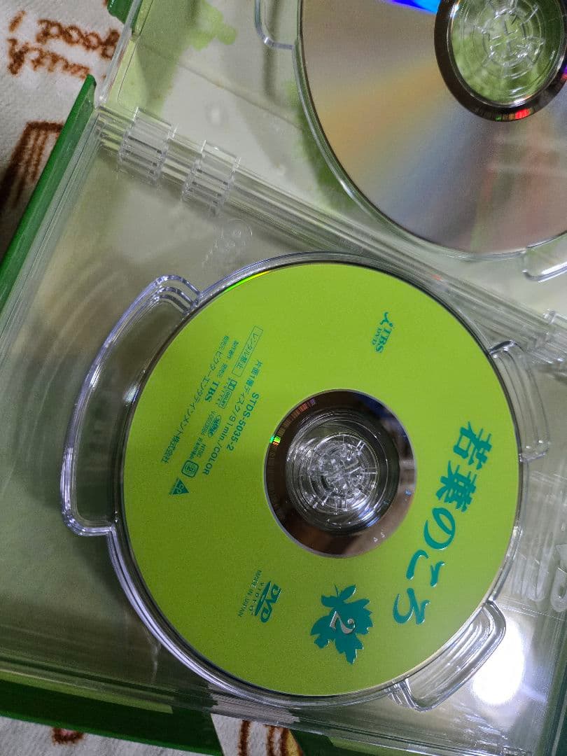 若葉のころ DVD-BOX