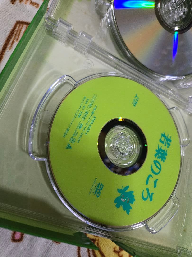 若葉のころ DVD-BOX