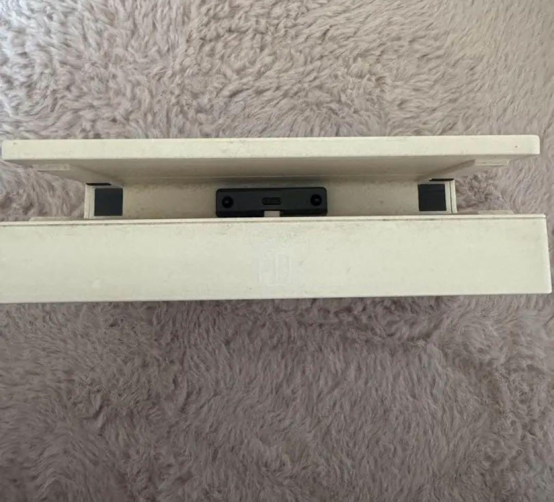 任天堂スイッチ あつまれどうぶつの森セット Nintendo switch