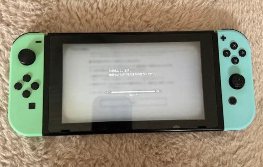 任天堂スイッチ あつまれどうぶつの森セット Nintendo switch