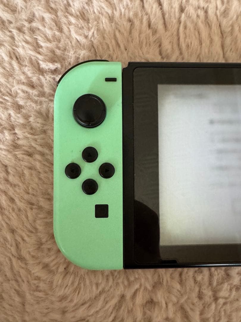 任天堂スイッチ あつまれどうぶつの森セット Nintendo switch