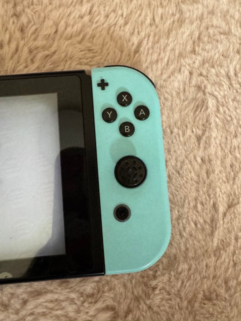 任天堂スイッチ あつまれどうぶつの森セット Nintendo switch