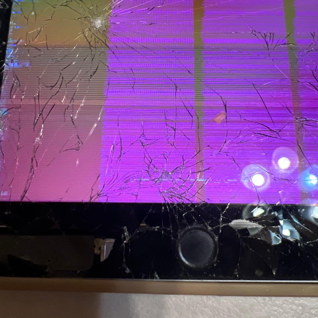 【ジャンク品】iPad mini 第5世代　256GB（液晶漏れ）画面割れ