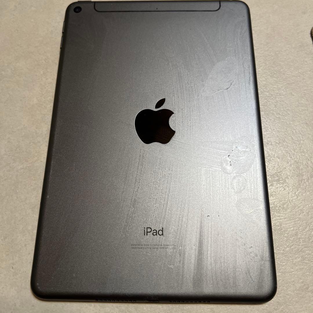 【ジャンク品】iPad mini 第5世代　256GB（液晶漏れ）画面割れ