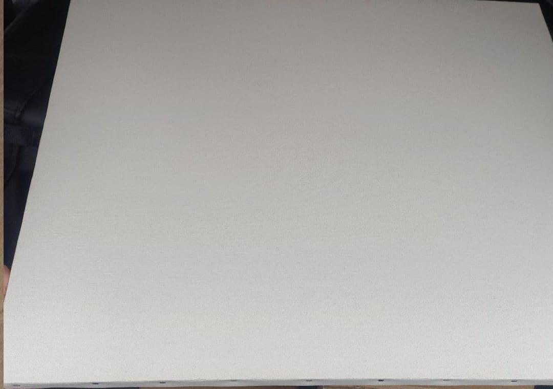 F15の中目 キャンバス 21枚 画材 画板 絵画