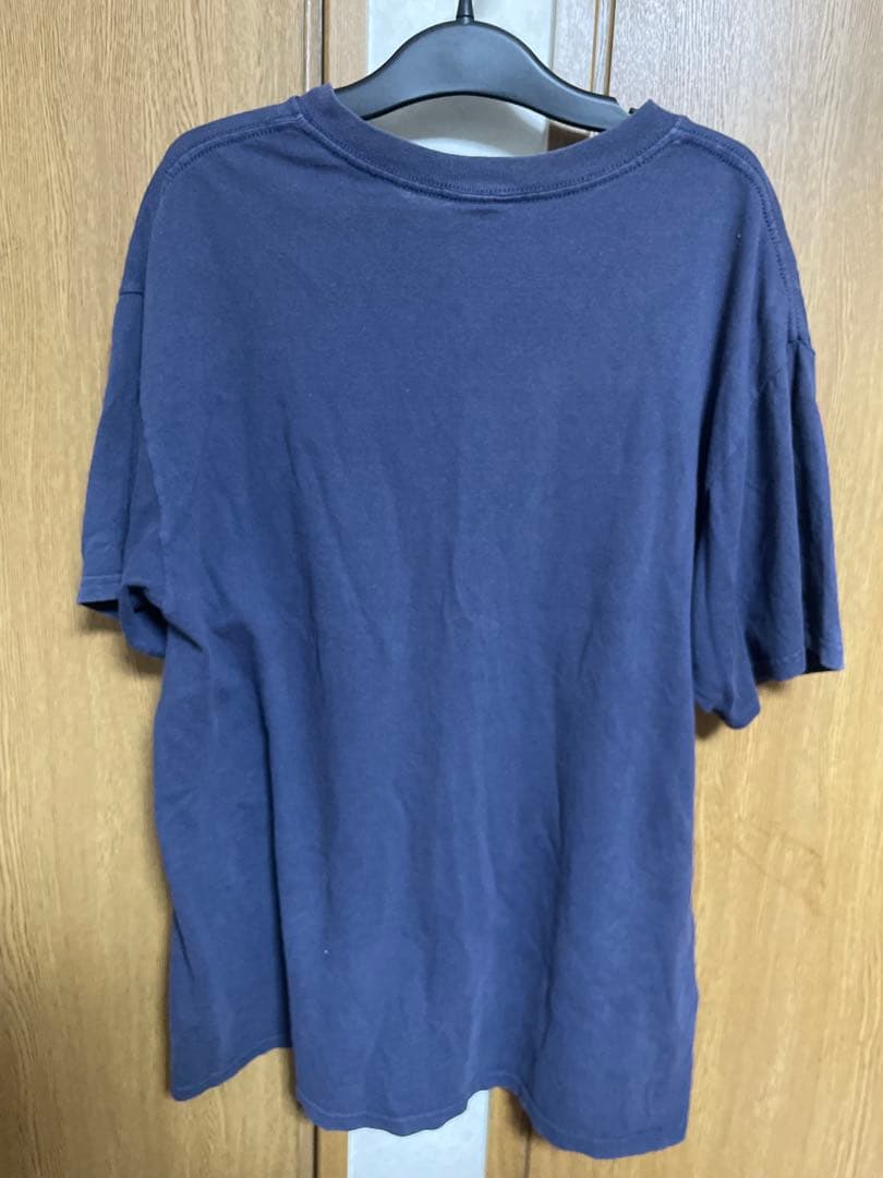 00s NIRVANA FROM THE MUDDY BANKS Tシャツ　L