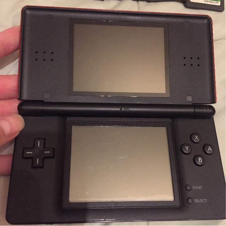本体1300円 カセット13個 充電器付き DS lite