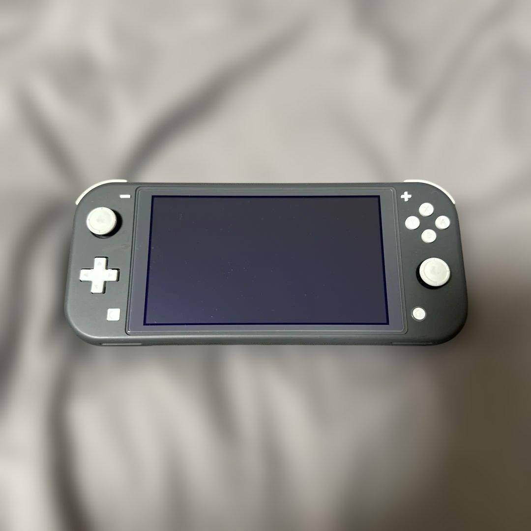 Nintendo Switch Lite本体 充電器付き