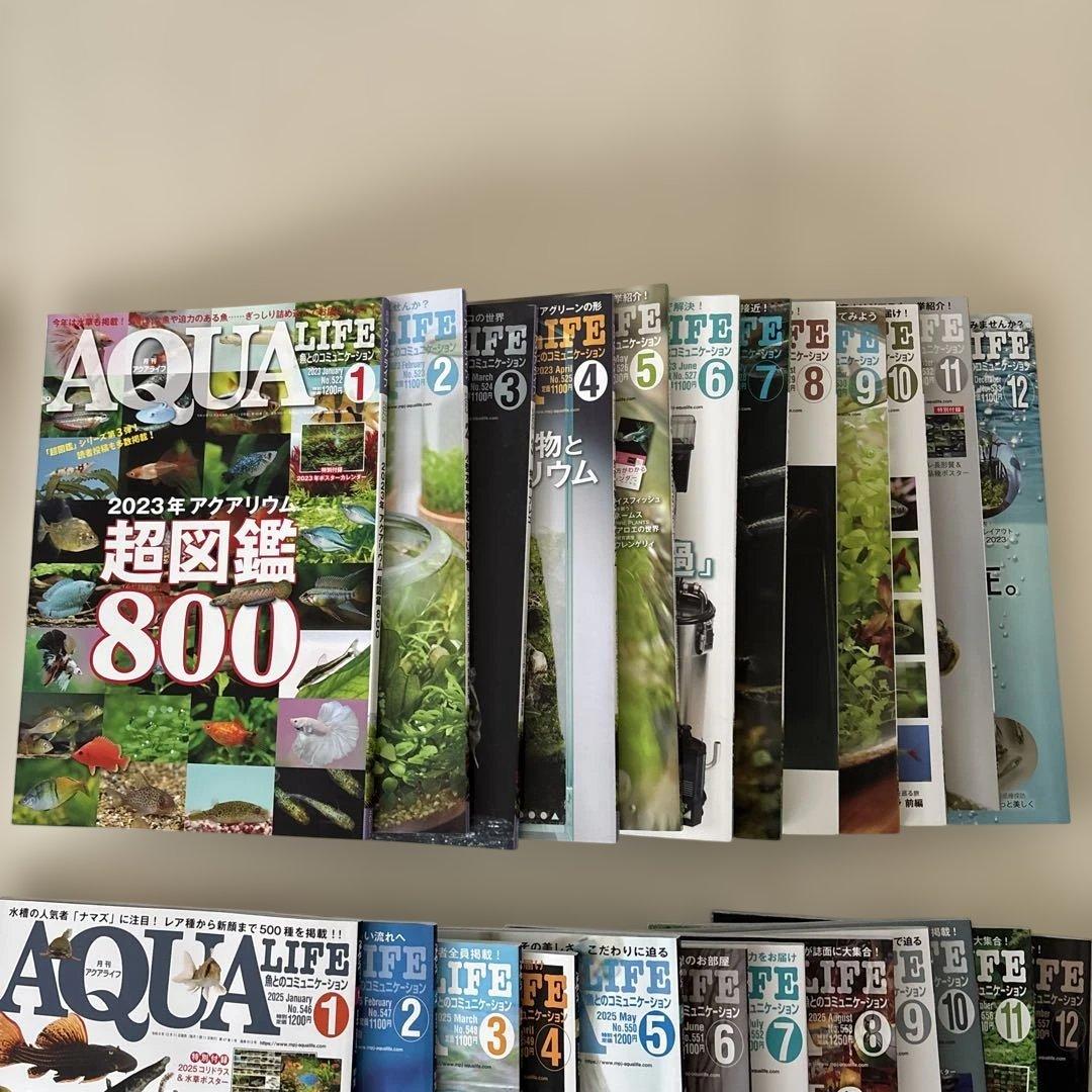 アクアライフ　2022 2023 2024 2025