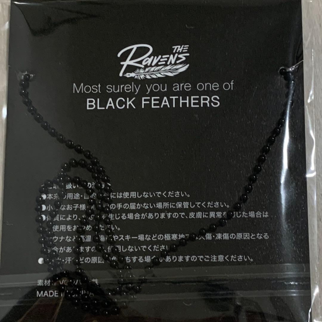 The Ravens 会場限定CD Ghost Notes
