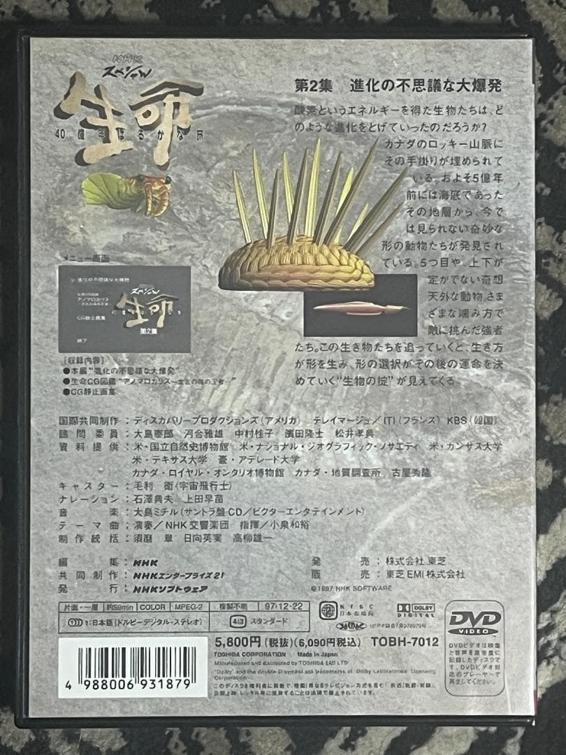 DVD NHKスペシャル 生命 40億年はるかな旅 第2集 進化の不思議な大爆発
