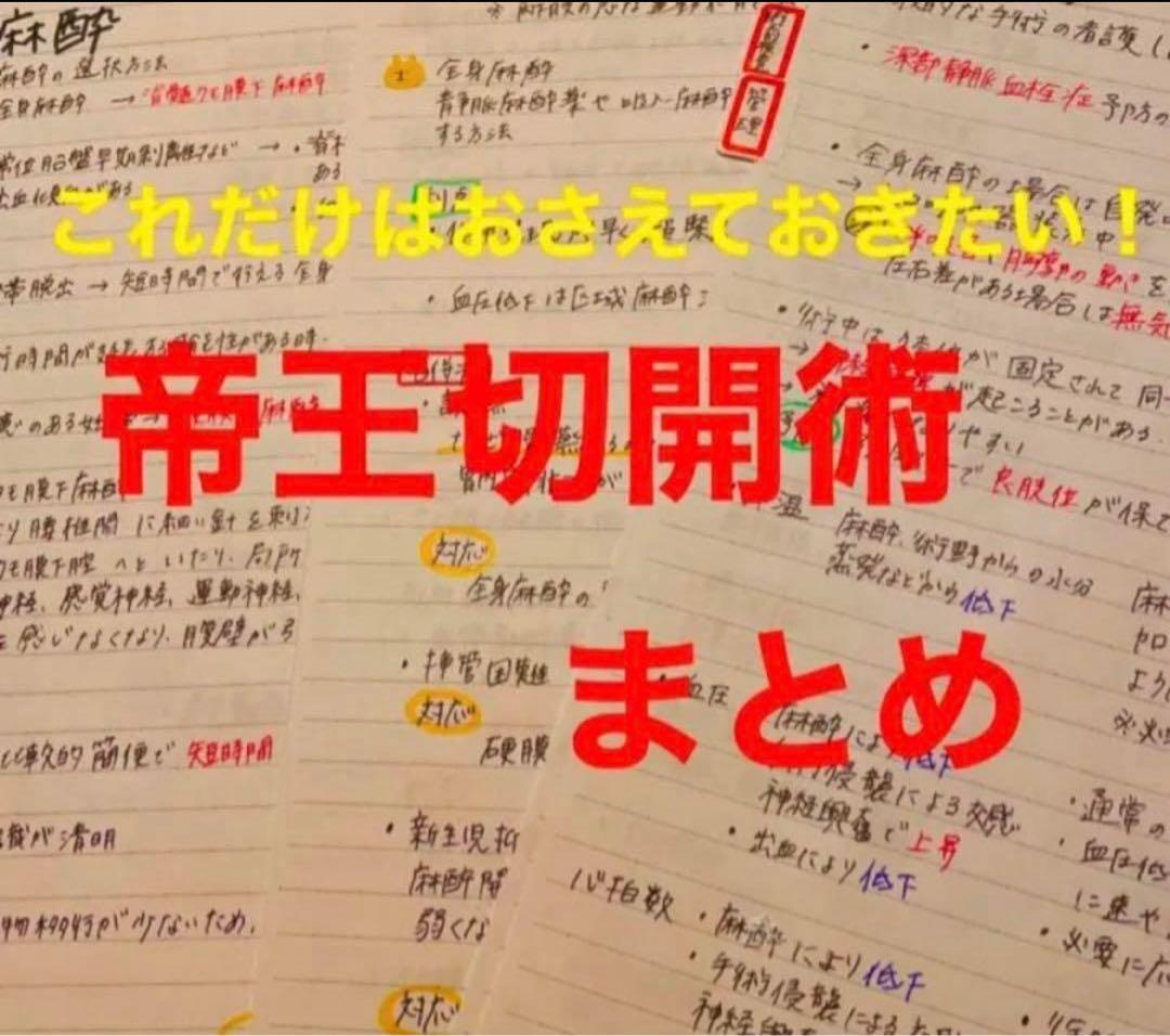 助産師　助産学生　実習・国家試験対策参考書セット　まとめ売り　まとめノート