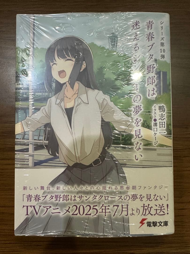 [未使用]青春ブタ野郎文庫15点セット