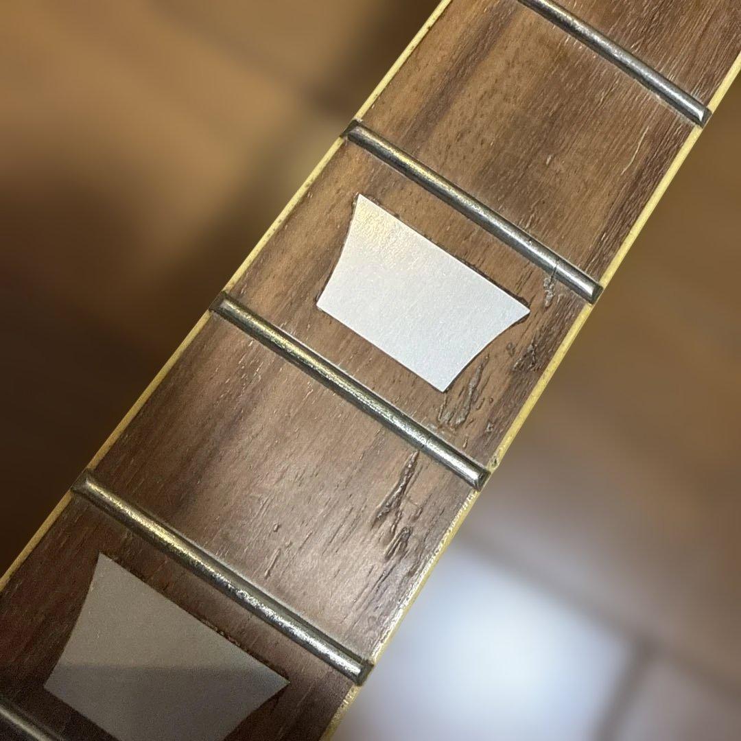 PhotoGenic Les paul Standard エレキギター