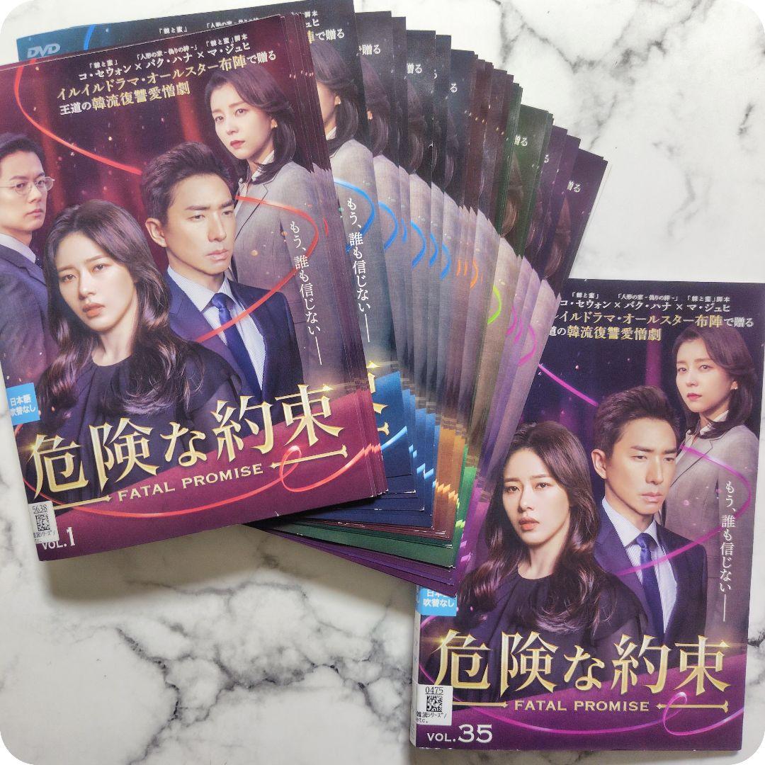 パク・ハナ★コ・セウォン★マ・ジュヒ『危険な約束』レンタル落ちDVD★全巻