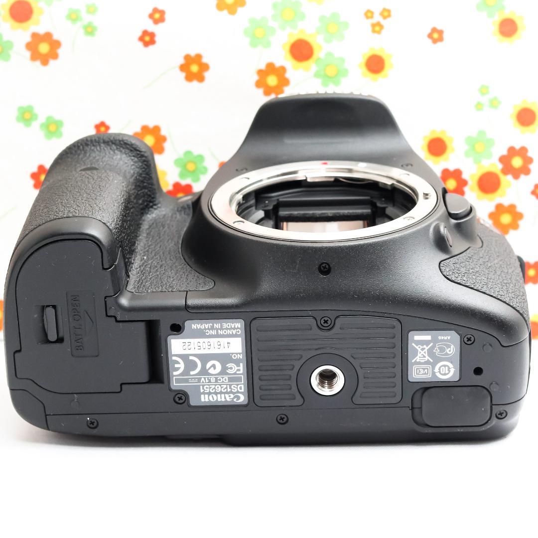 Canon EOS 7D ☆ダブルレンズ！☆スマホに転送☆動きも背景も美しく