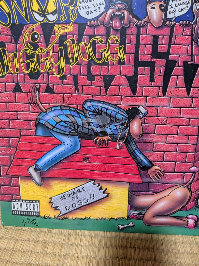 Snoop Dogg Doggystyle レコード