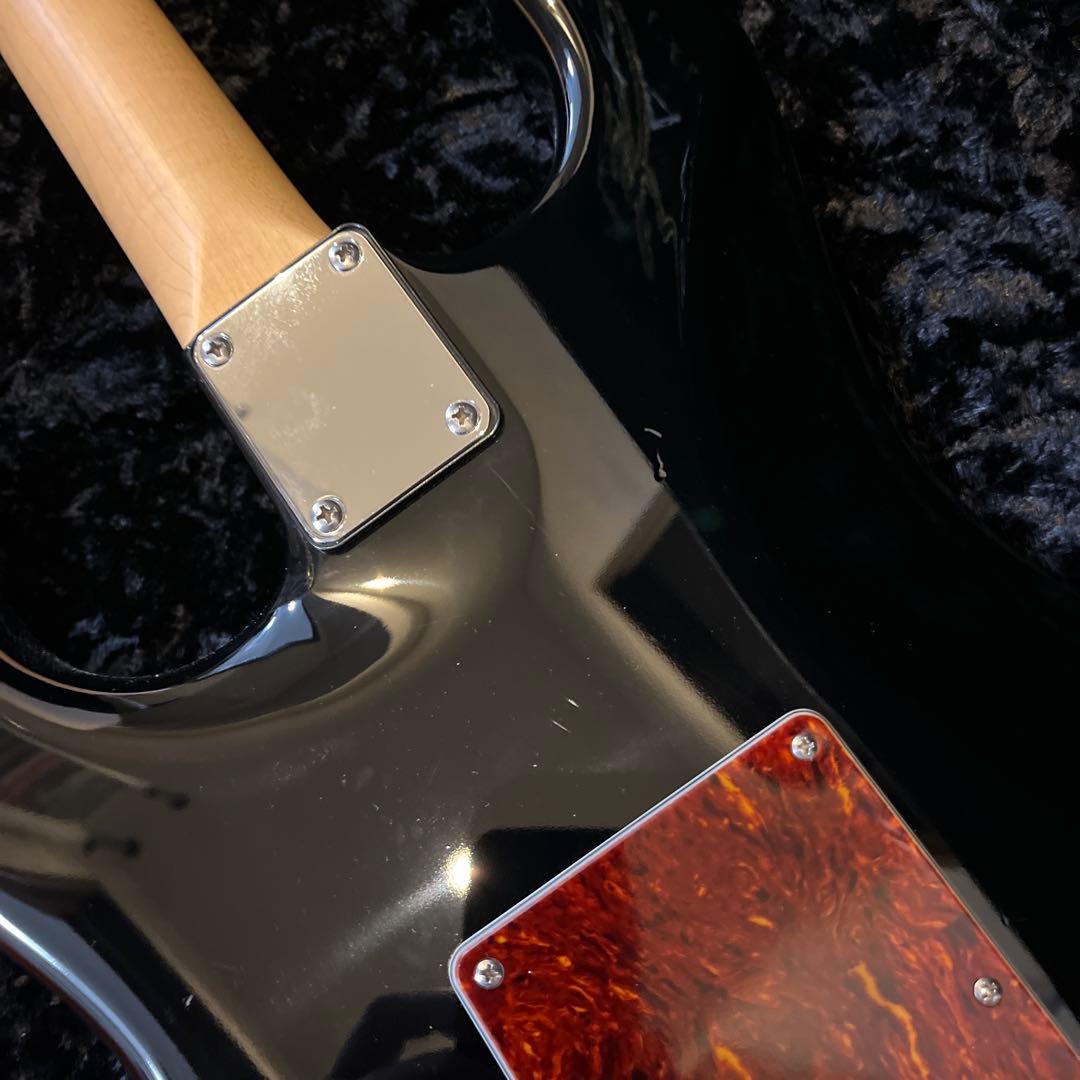 レア JAMES TYLER USA スペシャルエディション ブラッククラシック
