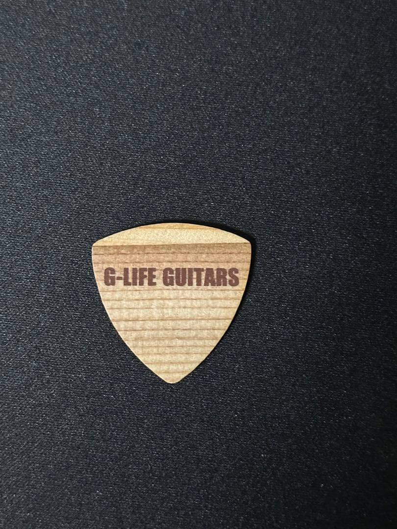 ギター G-Life guitars DSG Life-Ash