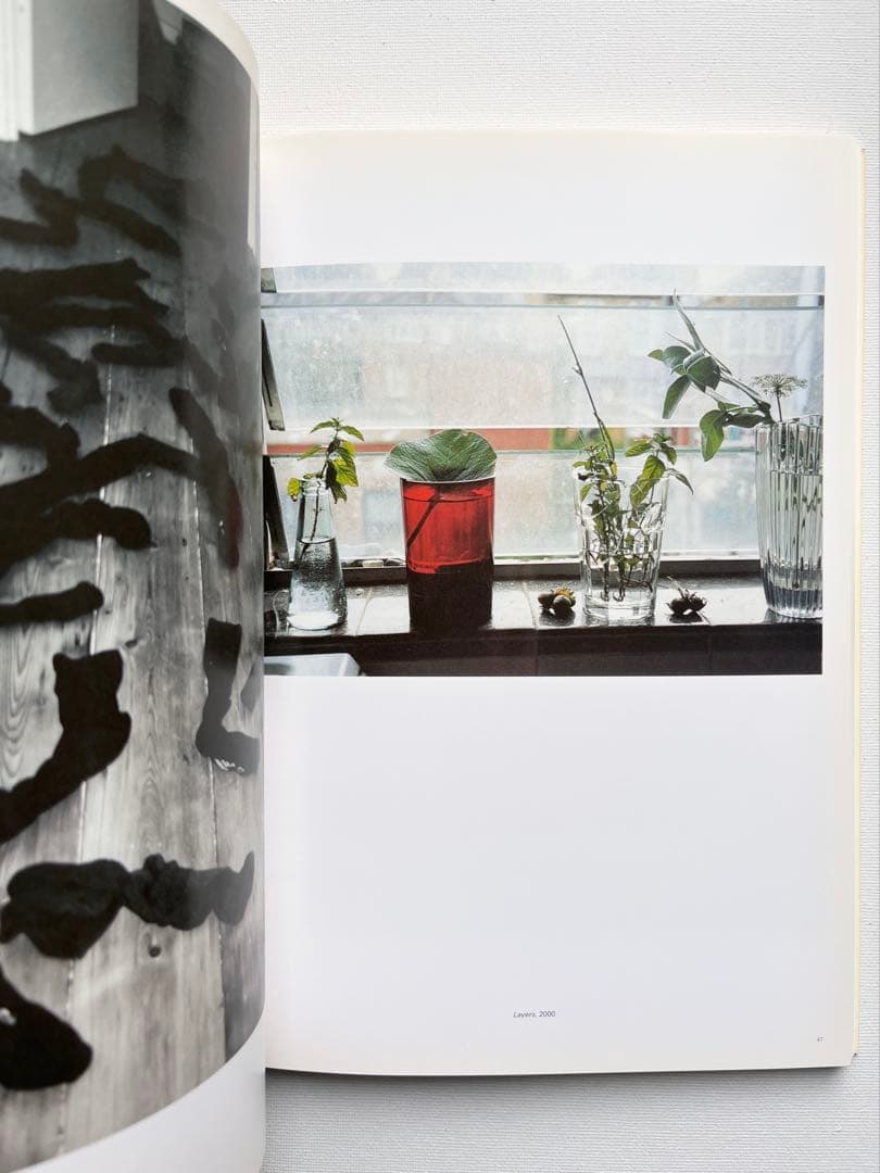 マ*シ様 Wolfgang Tillmans: Freischwimmer ティ