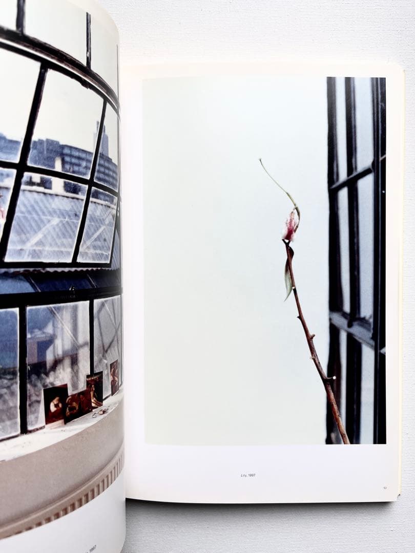 マ*シ様 Wolfgang Tillmans: Freischwimmer ティ