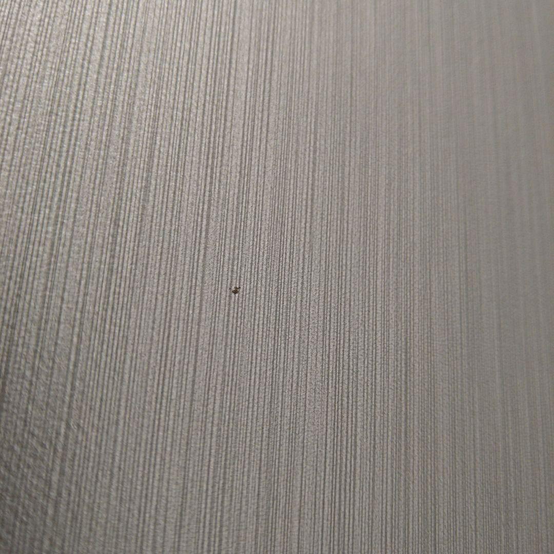 【ソロス様】サムソナイト「EVOA/エヴォア」SPINNER69cm /シルバー