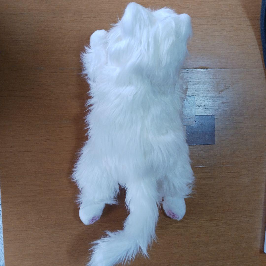 白い猫のぬいぐるみ　あまえんぼう子ネコちゃん