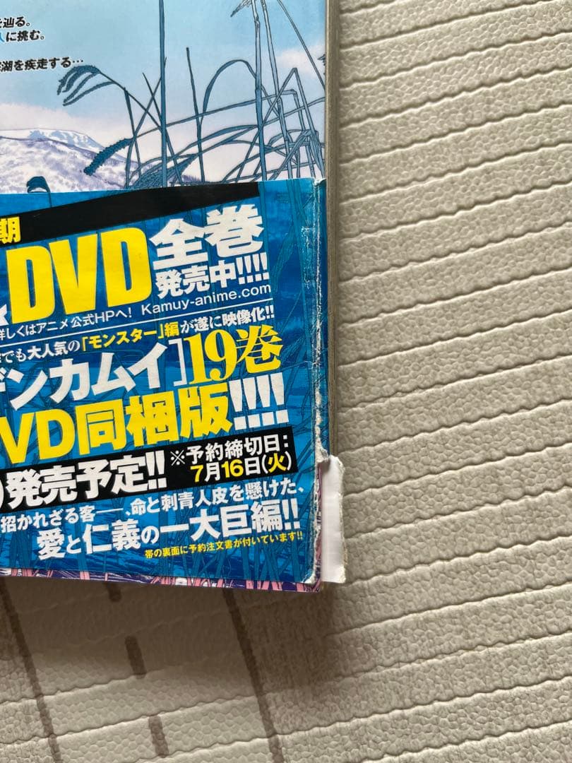 ゴールデンカムイ 1〜31巻セット（11巻と21巻がありません）