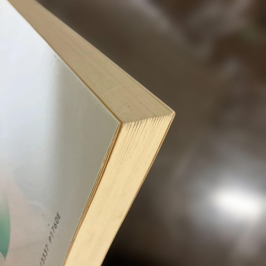 国語科授業批判 5 　宇佐美　寛著 明治図書