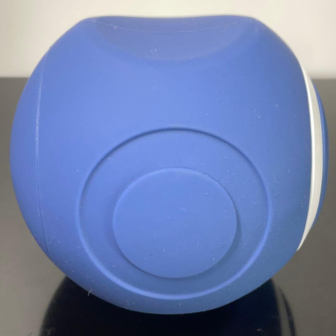 【即納/新品】OASIS スタイリーボール｜付属品全揃い｜ストレッチ筋膜リリース