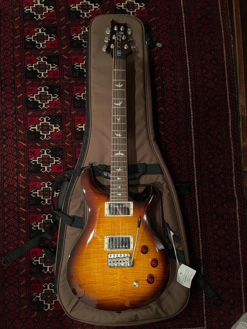 さくPRS SE DGT David Grissom