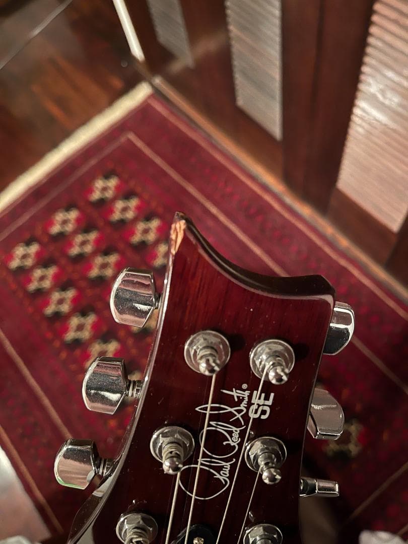 さくPRS SE DGT David Grissom