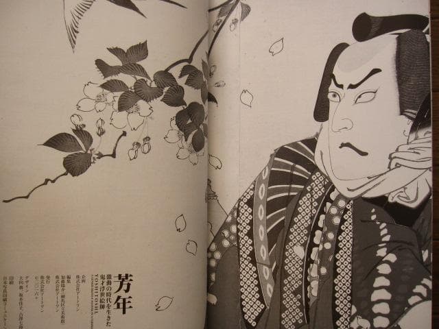図録 芳年 激動の時代を生きた鬼才浮世絵師　月岡芳年　無残絵 責め絵 武者絵