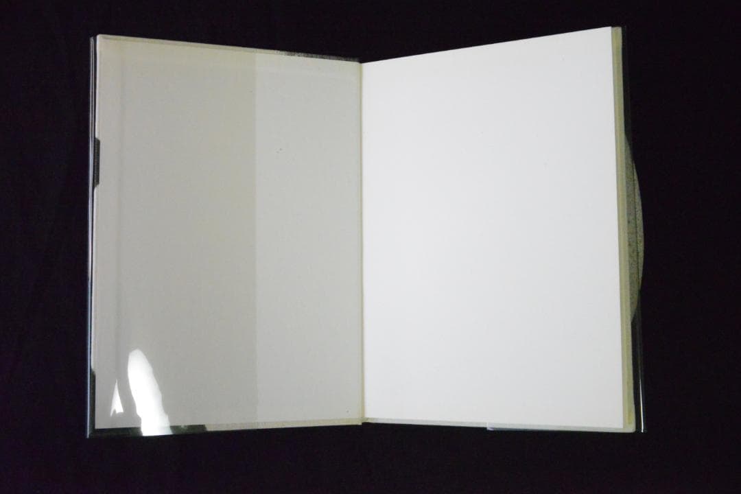 【CROSS SECTION】Patti Smith　新品未読品　2003年初版